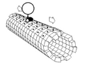 Kinesin walking mechanism