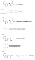 Serotonin Biosynthesis