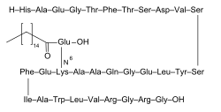 Liraglutide structure