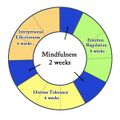 Dialectical Behavior Therapy Cycle