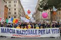 Manifestazione pro-vita