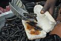 Cirina butyrospermi caterpillar, "chitoumou" with shea butter bread