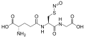 Nitrosoglutathione