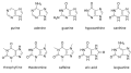 Examples of purines