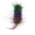 Cortical minicolumn