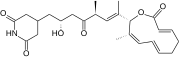 Lactimidomycin
