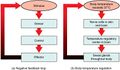 105 Negative Feedback Loops