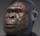 Stub icon