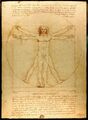 Da Vinci Vitruvian Man