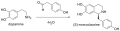 (S)-Norcoclaurine synthesis