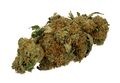 Synthetic_cannabinoids