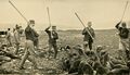Killing fur seals, St Paul Island