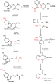 Tryptophan metabolism pathway