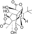 Structure of Ginkgolide B