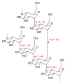 Dextrin skeletal