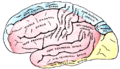 Thumbnail for version as of 17:28, 18 May 2026
