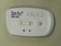 Negative pregnancy test