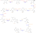 Nucleotide Synthesis Diagram 1