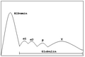 Electrophoresis