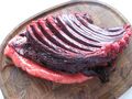 Phoeca groenlandica piece of meat