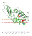 Crystal structure of phospholipase A2