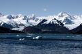 Patagonia