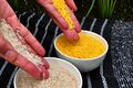 Genetically modified organism