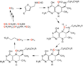 Methanogenesis cycle