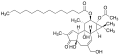 12-O-Tetradecanoylphorbol-13-acetate