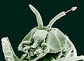 Thumbnail for version as of 13:40, 8 June 2026