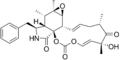 Cytochalasin E