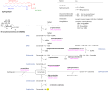 Sphingolipidoses diagram