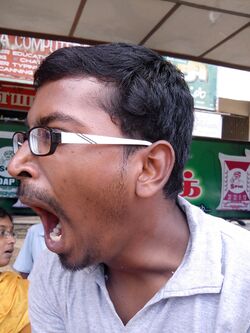 Yawning Image