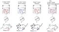 Molecular biology