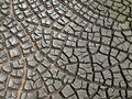 Desiccation cracks in soil