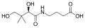 Hopantenic acid structure
