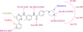 Imatinib in its binding site