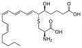 Structure of Leukotriene E4