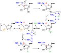 RNR reaction