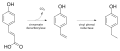 Conversion of P-Coumaric acid to 4-ethylphenol