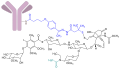 Gemtuzumab ozogamicin
