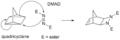 Qcane