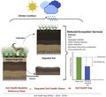 Scientific Diagram of Soil Health