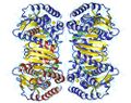 Malate dehydrogenase