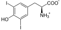 Thyroid peroxidase