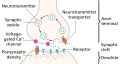 Serotonin–norepinephrine reuptake inhibitor