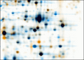Warped dual-channel 2D gel image
