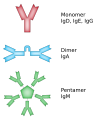 Mono and Polymers