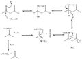 Final mechanism of acetoacetate decarboxylase