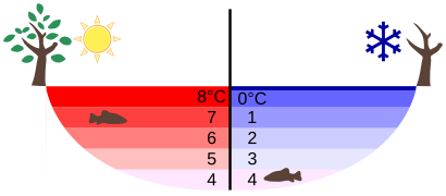 Anomalous expansion of water